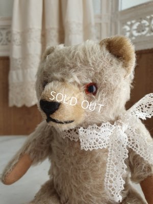 画像4: アンティークハーマンテディベア