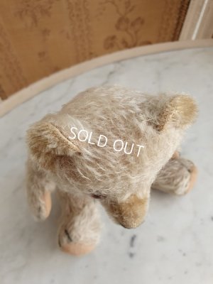 画像12: アンティークハーマンテディベア