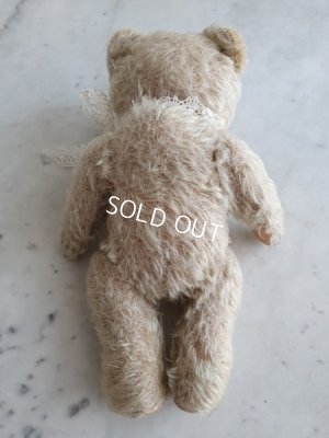画像13: アンティークハーマンテディベア