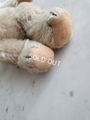 画像16: アンティークハーマンテディベア