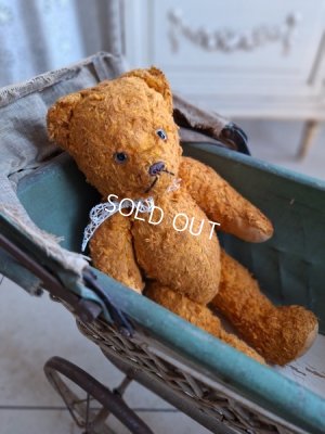 frenchtedybear