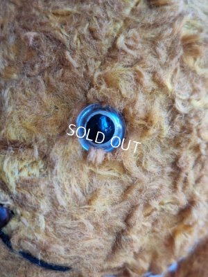 画像5: フレンチテディベア