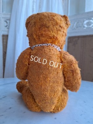 画像12: フレンチテディベア