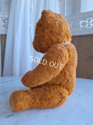 画像13: フレンチテディベア