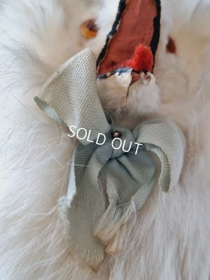 画像9: ジュモードッグ