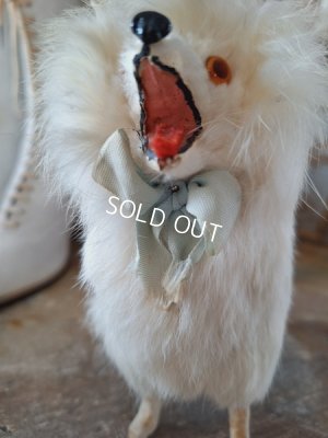 画像3: ジュモードッグ