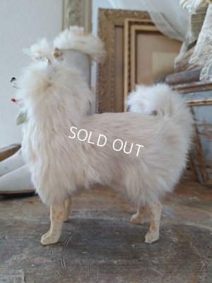 画像12: ジュモードッグ