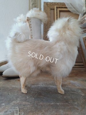 画像14: ジュモードッグ