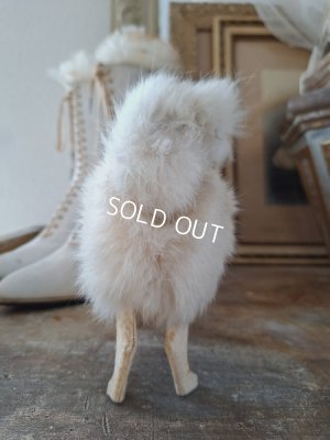 画像13: ジュモードッグ