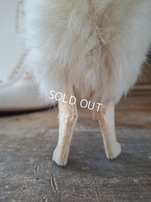 画像17: ジュモードッグ