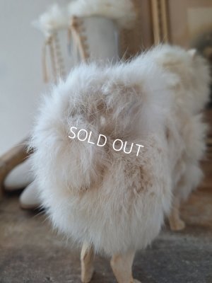 画像11: ジュモードッグ