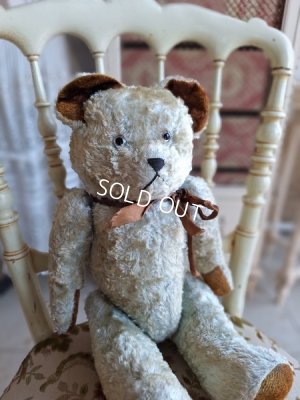 jpmlueteddybear