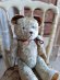 jpmlueteddybear