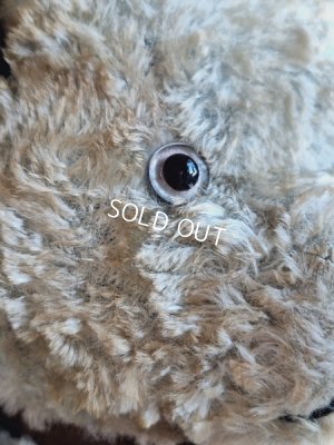 画像9: JPMブルーテディべア