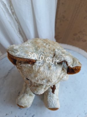 画像13: JPMブルーテディべア