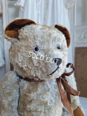 画像3: JPMブルーテディべア