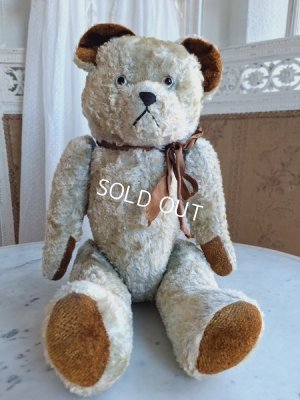 画像5: JPMブルーテディべア