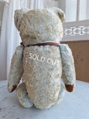 画像7: JPMブルーテディべア