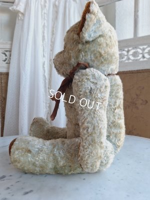 画像15: JPMブルーテディべア