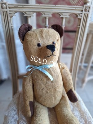 frenchteddybear