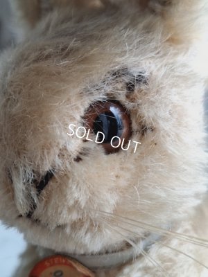 画像4: シュタイフ社うさぎ