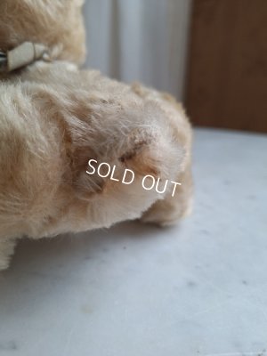 画像12: シュタイフ社うさぎ