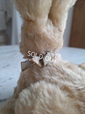 画像13: シュタイフ社うさぎ