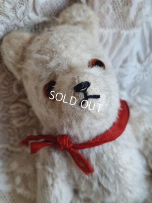 画像8: 小さなホワイトベア