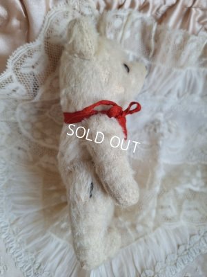 画像13: 小さなホワイトベア