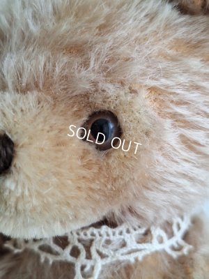 画像5: シュタイフテディベア