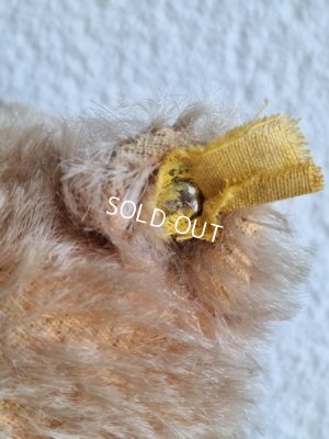 画像7: シュタイフテディベア