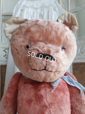 画像2: JPMアンティークピンクテディベア