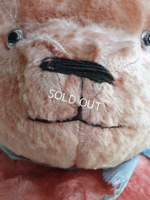 画像5: JPMアンティークピンクテディベア