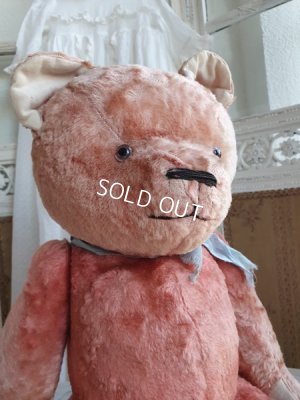 画像7: JPMアンティークピンクテディベア