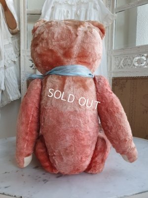 画像14: JPMアンティークピンクテディベア