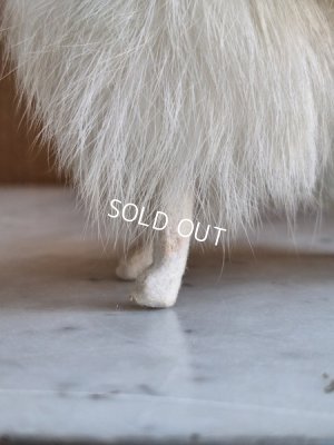 画像13: ジュモードッグ