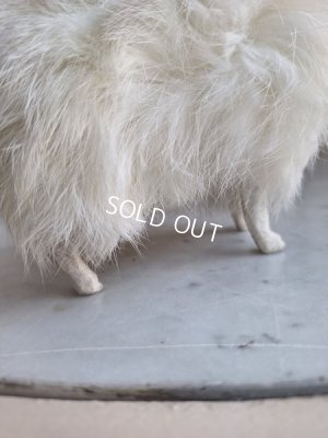 画像8: ジュモードッグ