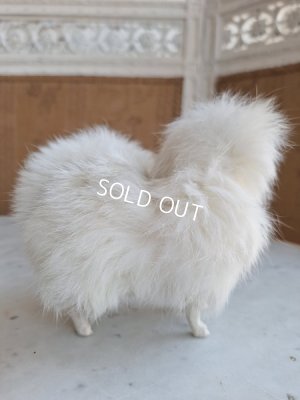 画像17: ジュモードッグ