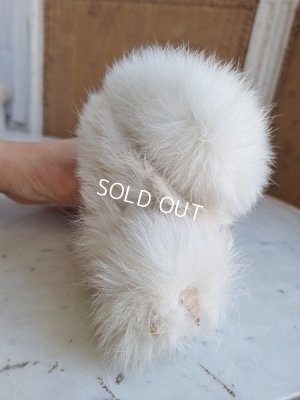 画像15: ジュモードッグ