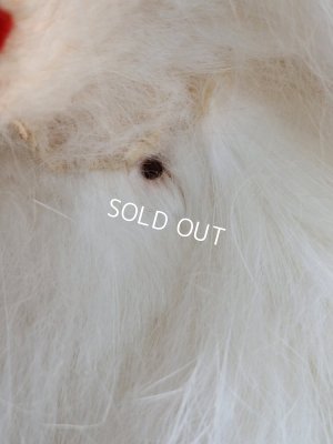 画像14: ジュモードッグ