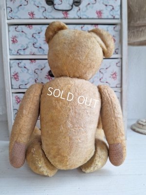 画像9: アンティークフレンチテディベア