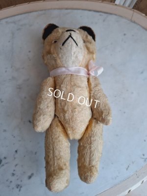 画像7: JPMフレンチテディベア