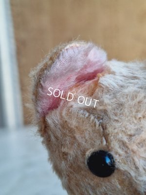 画像11: JPMフレンチテディベア