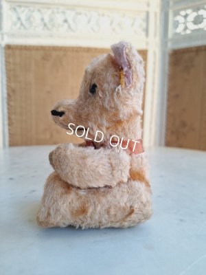 画像14: JPMフレンチテディベア