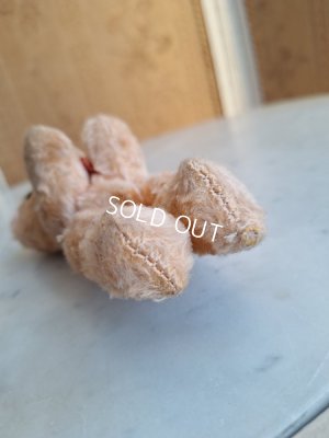 画像9: JPMフレンチテディベア