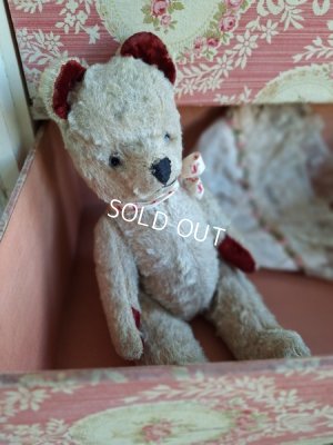 jpmteddybear