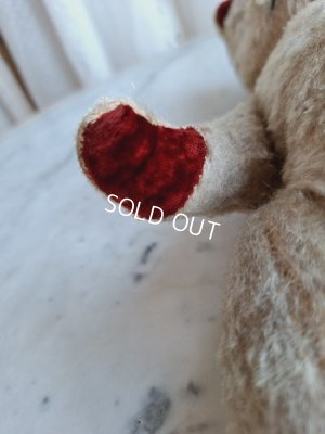 画像9: JPMフレンチテディベア