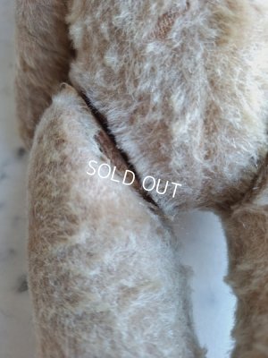 画像19: JPMフレンチテディベア