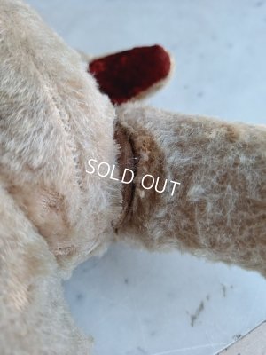 画像18: JPMフレンチテディベア