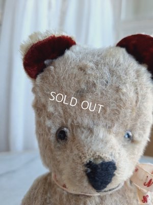 画像17: JPMフレンチテディベア